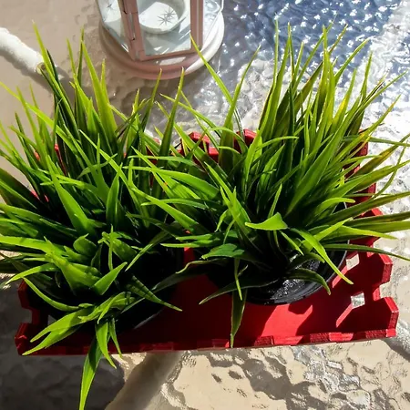 'pervolia Sea Brezze' *